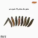 21020450.webp